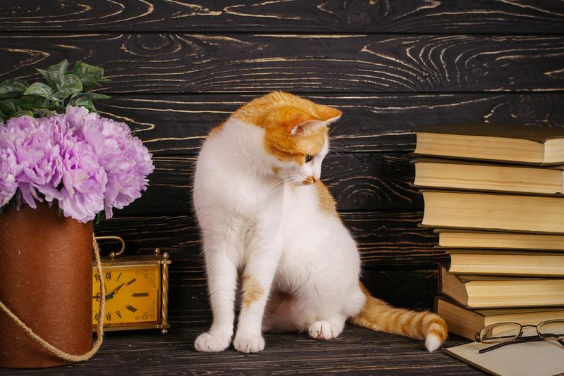 Photoshop精品课程 从入门到精通 无偿免费分享最全面细致的PS教程#附配套素材#[尽快保存]