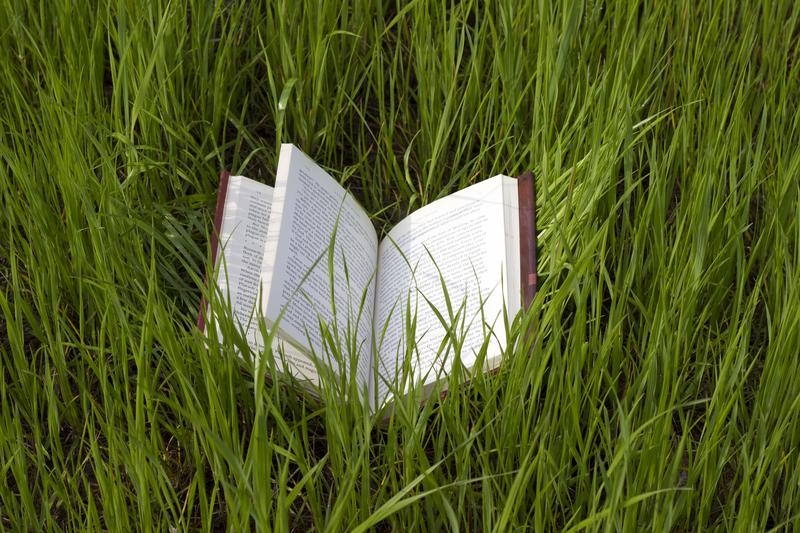 剪映全系资源合集，从安装、学习到实战模板素材全覆盖，一套决剪映剪辑所有需求，含Windows+Mac+Android多版本安装包