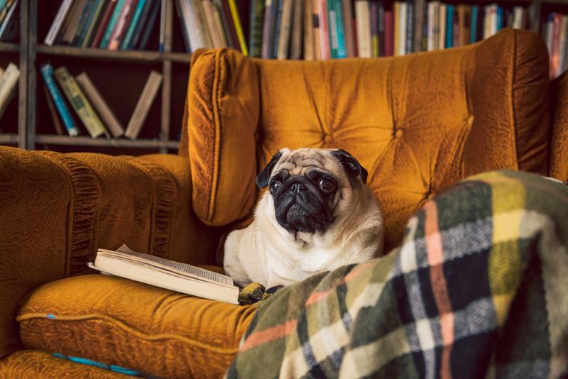 《CNC雕刻素材精选》资料合集