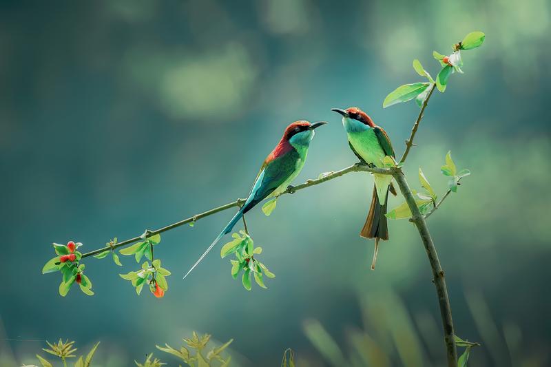 剪映全系资源合集，从安装、学习到实战模板素材全覆盖，一套决剪映剪辑所有需求，含Windows+Mac+Android多版本安装包
