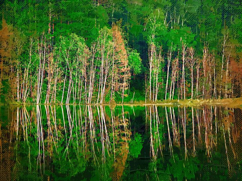 Duolingo-v6.25.4解锁高级版 功能强大、操作简单的语言学习工具，无论是初学者还是进阶者，语言研究极力推荐应用