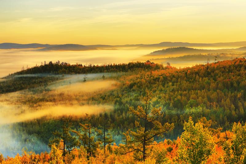 剪映全系资源合集，从安装、学习到实战模板素材全覆盖，一套决剪映剪辑所有需求，含Windows+Mac+Android多版本安装包